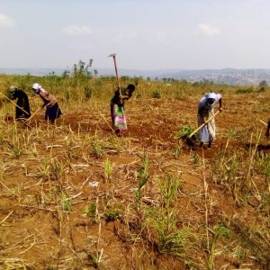 Budowa domu dla bezdomnych rodzin w misji Esseng Kamerun Ruch Maitri Adopcja Serca 01