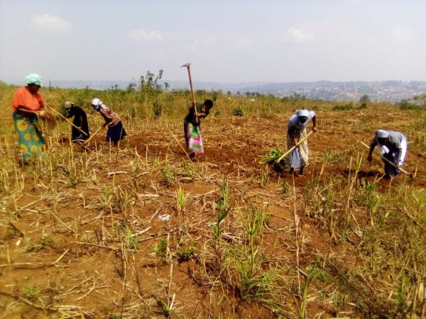 Budowa domu dla bezdomnych rodzin w misji Esseng Kamerun Ruch Maitri Adopcja Serca 01