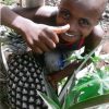 instalacja paneli słonecznych Ruch Maitri pomoc Afryce Adopcja Serca Kamerun Atok 01