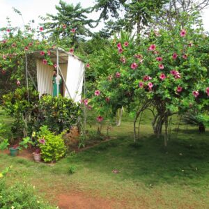 Budowa studni dla przedszkola w Yaounde (Nkolbisson) Ruch Maitri Pomoc Afryce Adopcja Serca 01