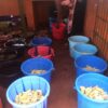 Pomoc w dożywianiu 475 dzieci ze szkoły podstawowej w Doume w Kamerunie pomoc Afryce pomoc ubogim Maitri Adopcja Serca Adopcja duchowa 03