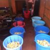 Pomoc w dożywianiu 475 dzieci ze szkoły podstawowej w Doume w Kamerunie pomoc Afryce pomoc ubogim Maitri Adopcja Serca Adopcja duchowa 03